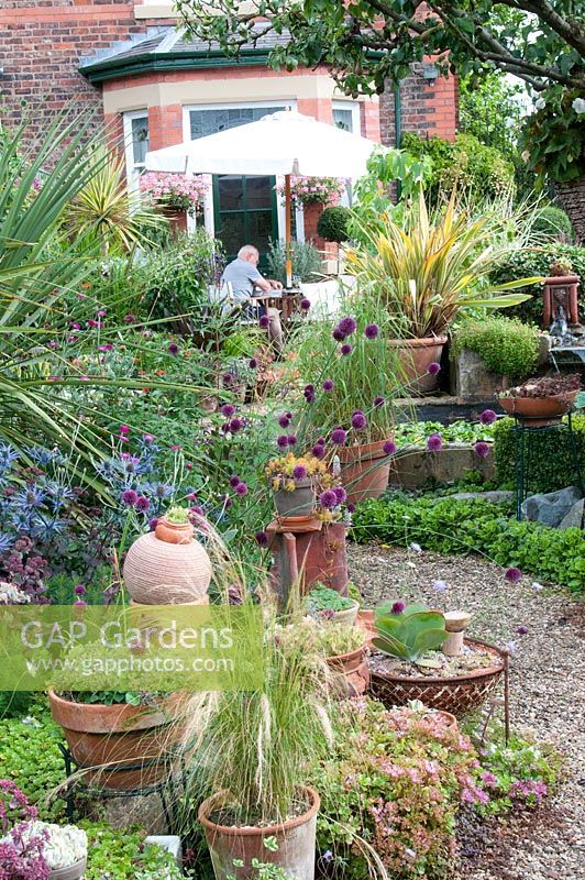 Curving gravel path edged by arrangements of pots and containers with Sedum Sempervivum Echeveria, Verbena, Allium sphaerocephalon, Yucca, Phormium, Eryngium and grasses leading to the back of a traditional Victorian red brick house, July 