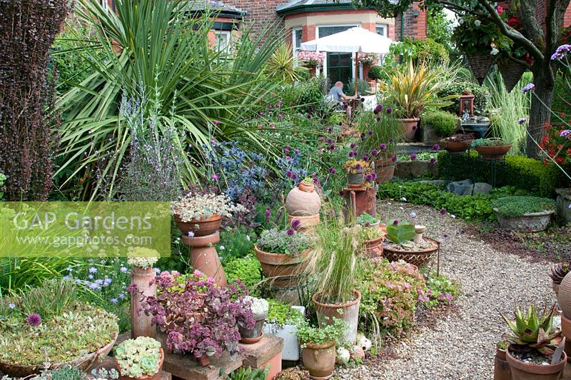 Curving gravel path edged by arrangements of pots and containers with Sedum Sempervivum Echeveria, Verbena, Allium sphaerocephalon, Yucca, Phormium and grasses leading to the back of a traditional Victorian red brick house at Southlands, July 