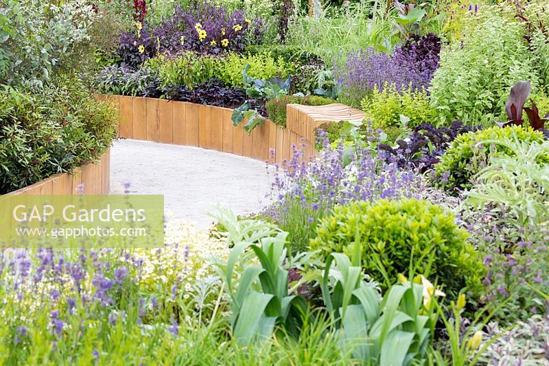 Witan Investment Trust Global Growth Garden, View to wooden sculpted bench over wide sunken curving pathway. Raised bed planting features edible plants including lavender - Lavandula angustifolia 'Munstead', oregano - Origanum 'Rosenkuppel', lemon balm - Melissa officinalis, artichokes, cabbage, sage - Salvia officinalis 'Tricolor', as well as agastache and purple-leaved dahlias. RHS Hampton Court Flower Show 2016