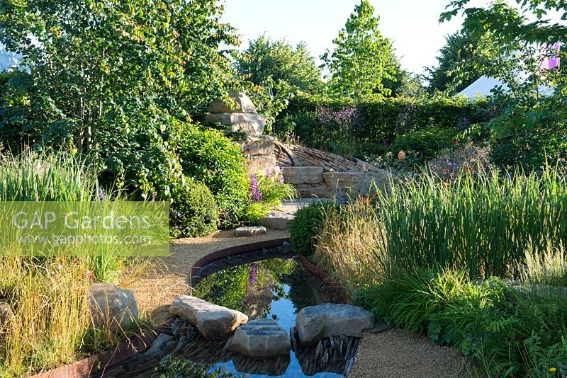 Rock stepping stones over a water rill, Cercidiphyllum japonicum with Prunus lusitanica and Panicum virgatum 'Northwind' -  Zoflora: Outstanding Natural Beauty, Design: Helen Elks-Smith MSGD, RHS Hampton Court Palace Flower Show 2016