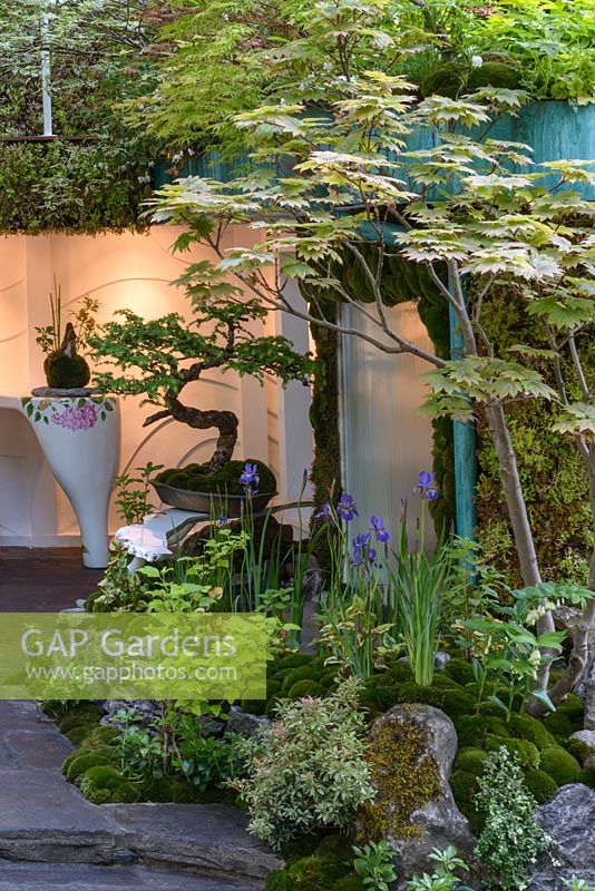 Senri Sentei - Garage Garden: relaxing space with a bonsai tree. The RHS Chelsea Flower Show 2016. Designer: Kazuyuki Ishihara - Sponsor: Henri-Sentei Project - GOLD