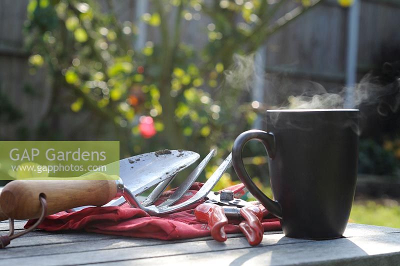 Steaming mug of coffee on garden table with with garden hand tools and Gloves, Norfolk, UK, September