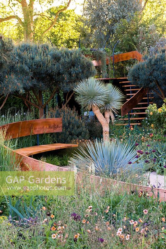 The Winton Beauty of Mathematics Garden. Inspired by mathmatical patterns found in nature, the garden features planting from the Southern Hemisphere and Mediterranean. The RHS Chelsea Flower Show 2016, Designer: Nick Bailey, Sponsor: Winton