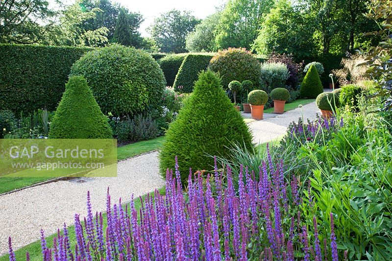 Formal English garden with clipped Yew pyramids, pleached Hornbeam hedging, Box balls, gravel path, long borders with mixed shrubs and perennials