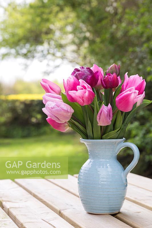 Tulipa 'Aafke', 'Candy Prince' and 'Double Dazzle' in blue jug with view to garden