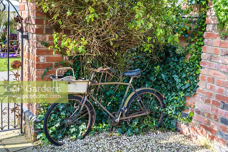 A rusty vintage bicycle in the Alchemy Gardens, RHS Malvern Spring Festival 2016