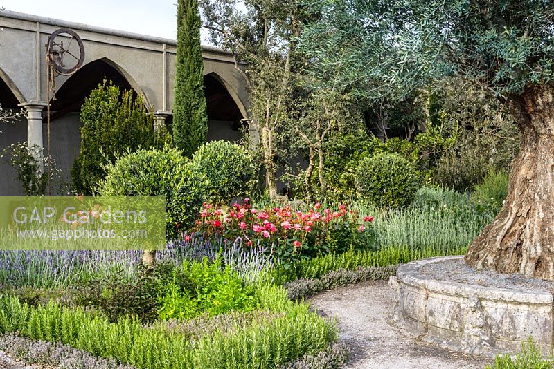 A cloister garden with Rosa, Rosmarinus and Lavendula  at The Garden of Romance -  RHS Malvern Spring Festival 2016- Design: Villaggio Verde - Gold Medal