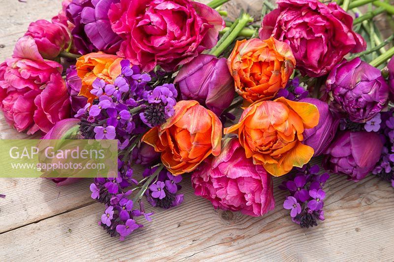 Fresh cut flowers on a table featuring Erysimum 'Bowles Mauve', Tulipa 'Orange Princess', 'Purple Peony' and 'Chato'