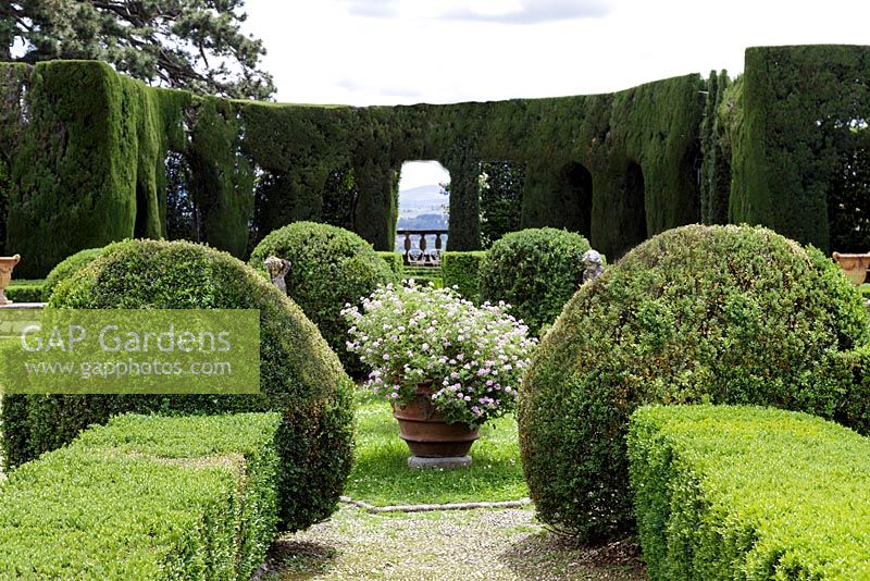 Villa Gamberaia, Settignano, Florence, Tuscany, Italy. Formal Italianate garden with clipped topiary parterre and Cypress arcade