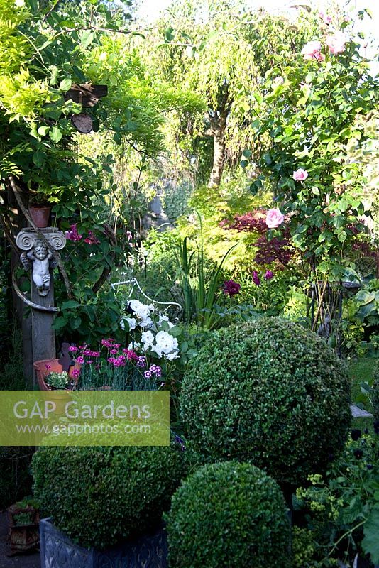 Topiary box balls add definition to a garden