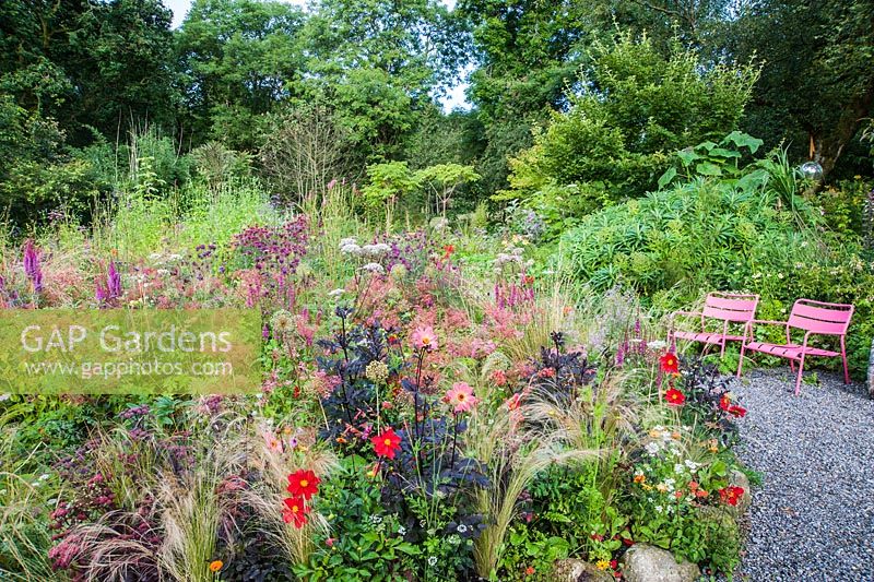Bed near the house full of pink, red, purple and magenta herbaceous perennials and annuals including Dahlia 'Twyning's Revel', D. 'Poppyscotland', salvias, Filipendula purpurea 'Elegans', monardas, sedums and Astilbe chinensis var. taquetii 'Purpurlanze'. Hunting Brook Garden, Co Wicklow, Ireland