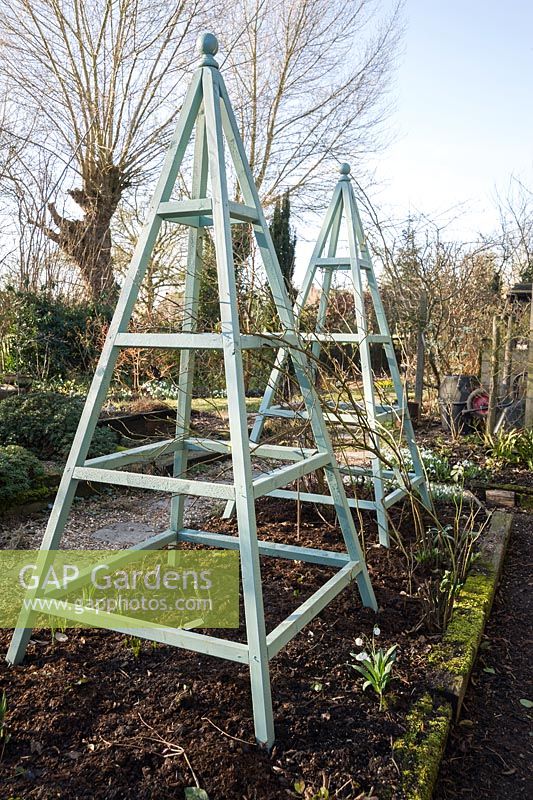 Painted wooden obelisks to support clematis and climbing roses in the summer.