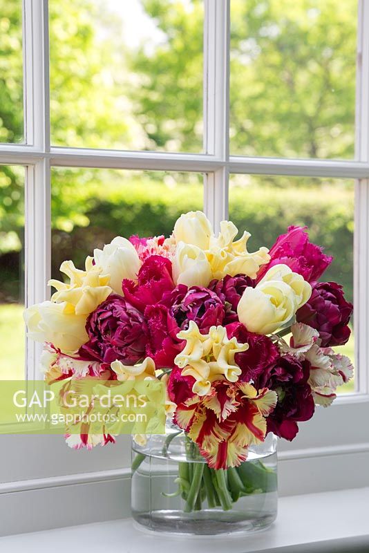 Glass vase with Tulipa 'Flaming Parrot', 'City of Vancouver', 'Antraciet', 'Yellow Crown' and 'Burgundy Lace'