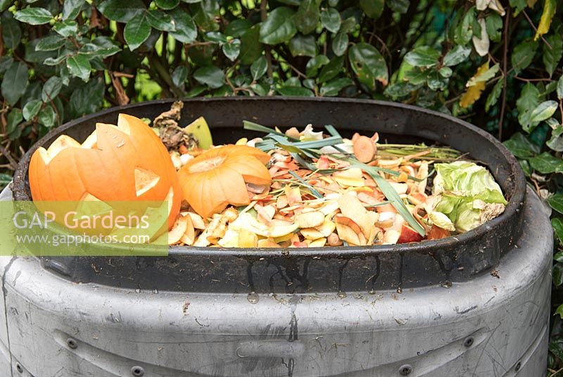 Halloween pumpkin set on a compost heap