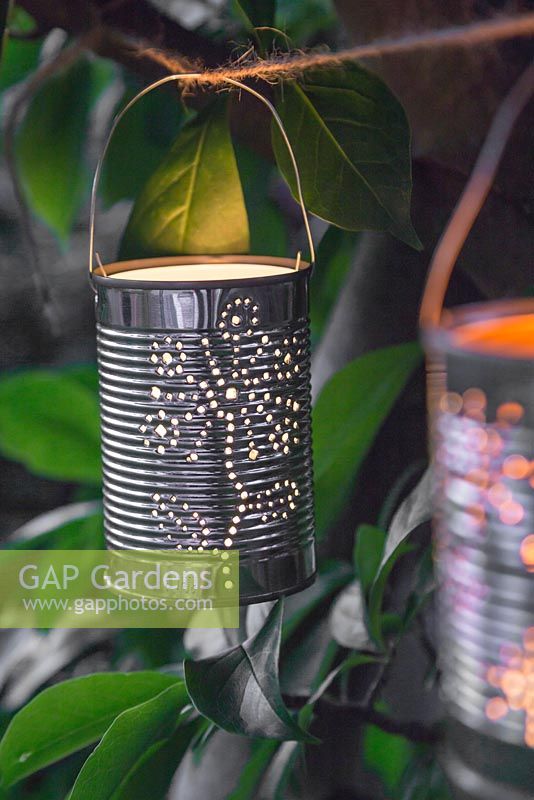 Lit tin can lanterns hanging in a tree