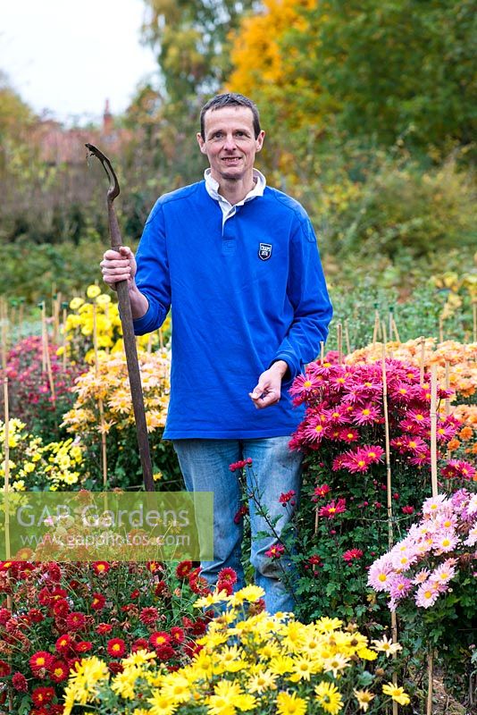 Andrew Ward, owner of Norwell Nurseries where he has a collection of hardy chrysanthemums.
