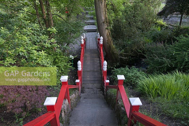 Red painted wooden bridge in woodland - June, Clyne Gardens, Swansea, Wales