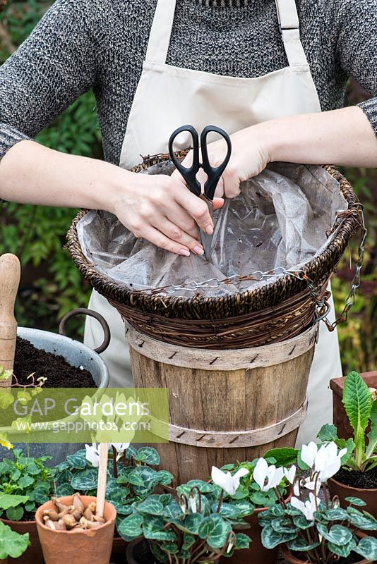 Planting a hanging basket for winter and early spring. Pierce the basket lining to create drainage holes.