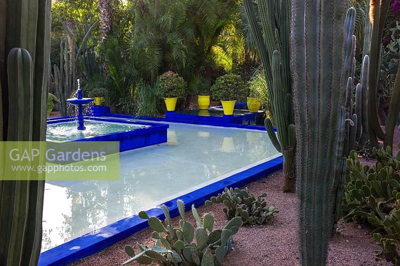 Square, blue painted fountain and pool in the Jardin Majorelle. Created by Jacques Majorelle and further developed by Yves Saint Laurent and Pierre Bergé, Marrakech, Morocco