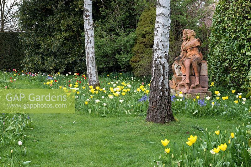 A border with naturalised spring bulbs including Tulipa 'Purissima' and 'Yellow Purissima' in front of a terracotta statue.