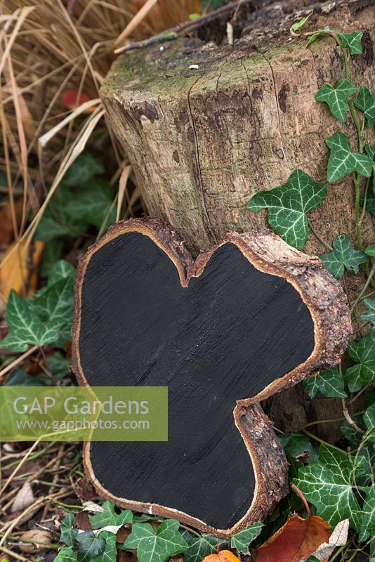 A blank Oak tree slice painted with blackboard paint to be used as a sign or label