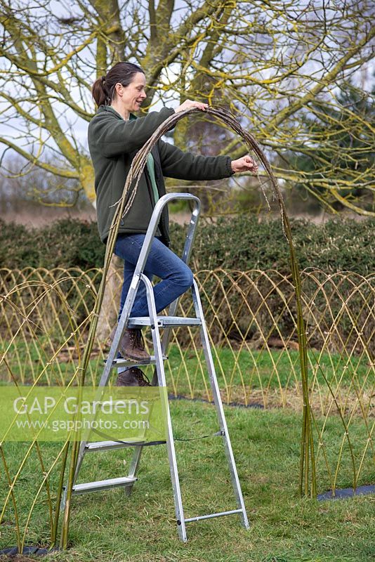 Weave the thick Willow branches together to form a strong sturdy arch