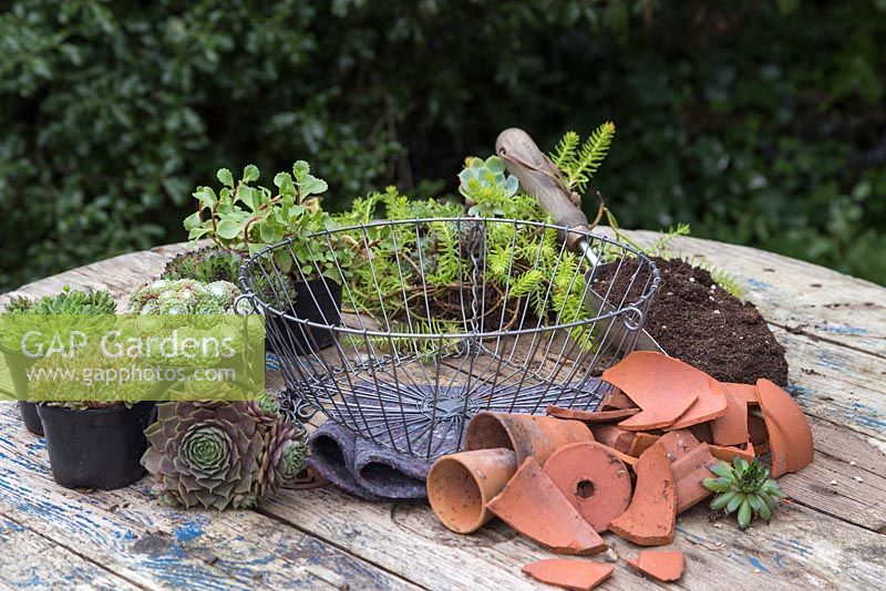 Step by Step - Materials required are terracotta pots, crocks, compost, hanging basket, permeable membrane and a variety of Succulents