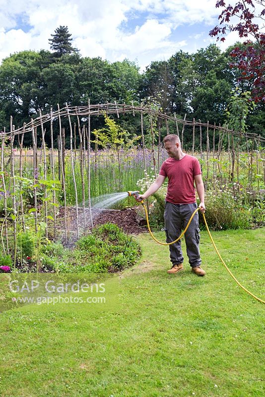 A man using a garden hose to water plants in a border