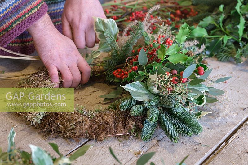 Adding Variegated Ivy to the wreath