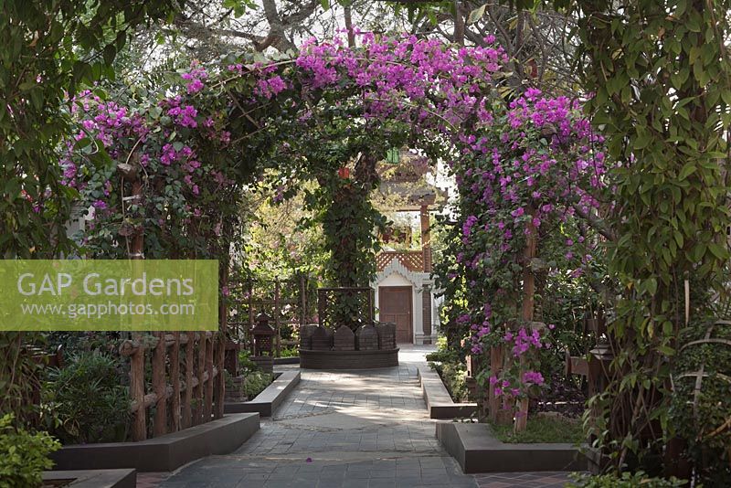 Bougainvillea trained onto wooden archway over cobble setts path in tropical garden - Myanmar