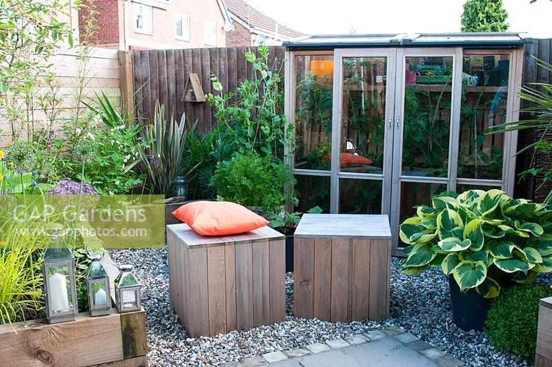 Corner of suburban back garden with wooden block seats on gravel by Hosta 'Wide Brim', raised wooden flowerbeds and lean to timber greenhouse against fencing
