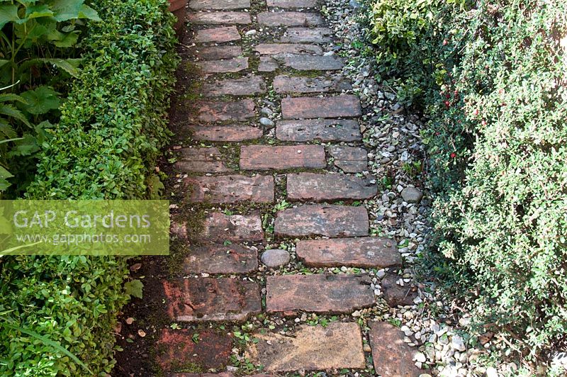 Red brick and gravel path edged by clipped Buxus low hedge and Cotoneaster