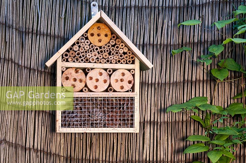 Insect bug box or hotel for overwintering bugs attached to cane fencing