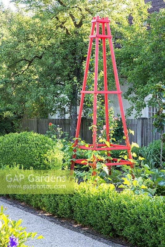 Red painted climbing support for runner beans in a kitchen garden framed with box