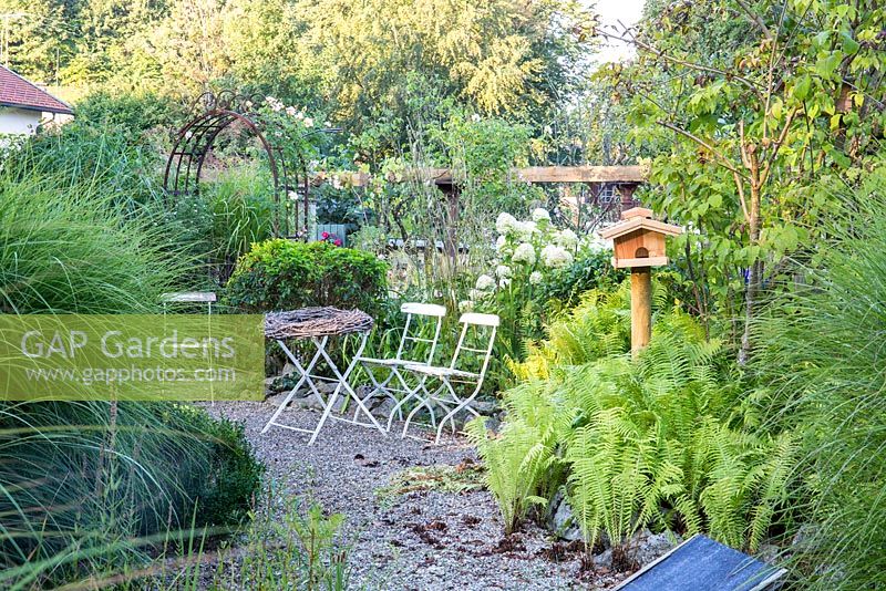 Seating area with white garden chairs and a wooden bird feeder on graveled area. Hydrangea paniculata, Matteucia struthiopteris, Miscanthus sinensis, Prunus lusitanica