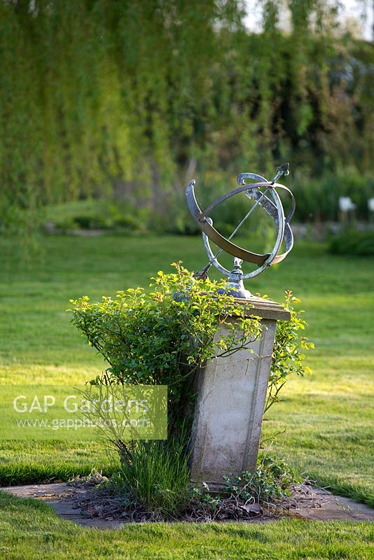 An armillary sundial is placed in the centre of the lawn with Rosa 'The Fairy'