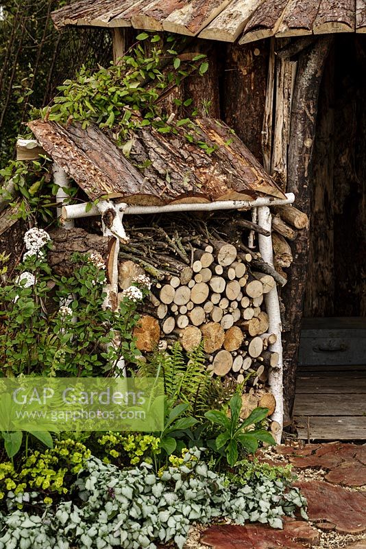Rustic covered log store and woodland planting including Viburnum with hut behind - The Woodcutter's Garden - RHS Malvern Spring Show 2016. Designer: Mark Walker, Sponsor: Howards Motors