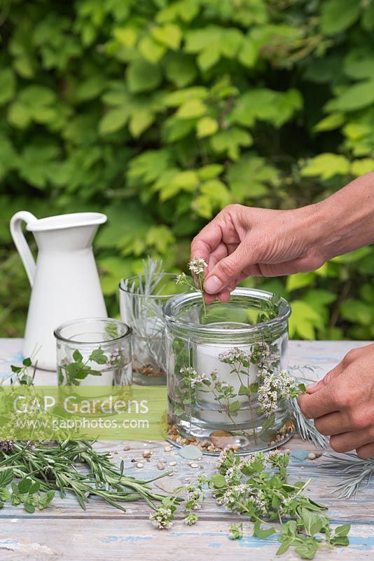 Placing flowered Marjoram herb in candle jar