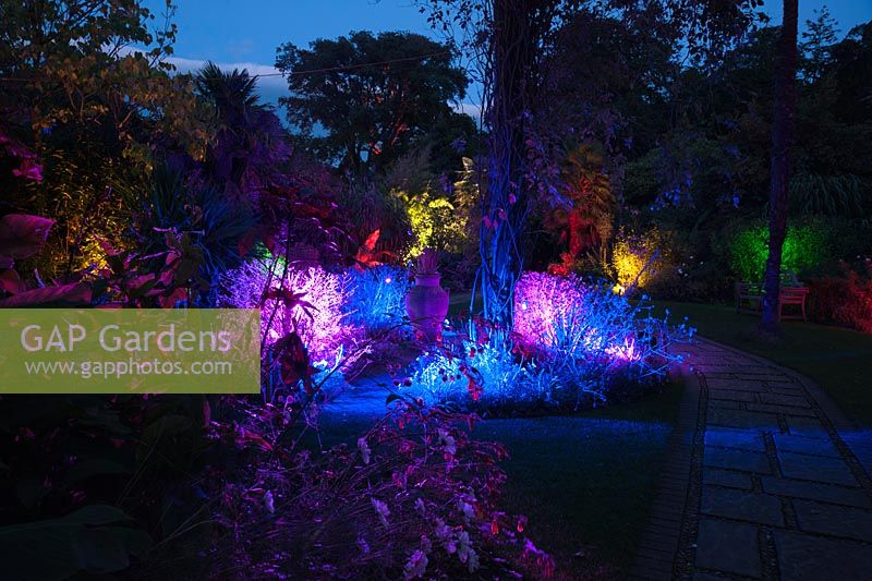 The Victorian garden illuminated