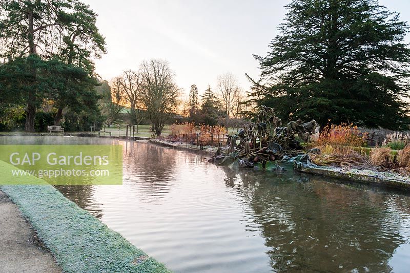 Sunrise on a November morning beside the Well Pool at the Bishop's Palace garden in Wells