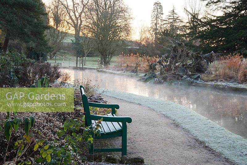 Sunrise on a November morning beside the Well Pool at the Bishop's Palace garden in Wells