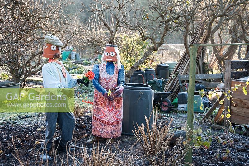 Community allotments with a scarecrow couple on a November morning at the Bishop's Palace garden, Wells