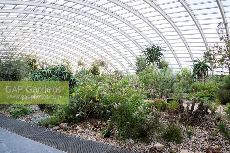 The Great Glasshouse designed by Norman Foster and Partners with interior landscape designed by Kathryn Gustafson.