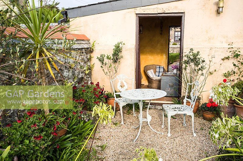 Sheltered gravelled terrace with seating surrounded by pots of red pelargoniums, cordylines, olives and agapanthus.