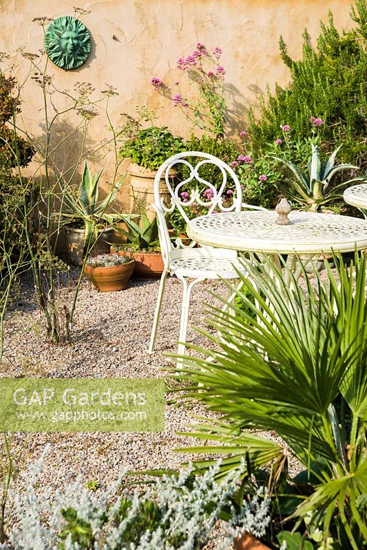 White garden furniture surrounded by self seeded fennel and containers planted with succulents, pelargoniums, clipped box and trachycarpus