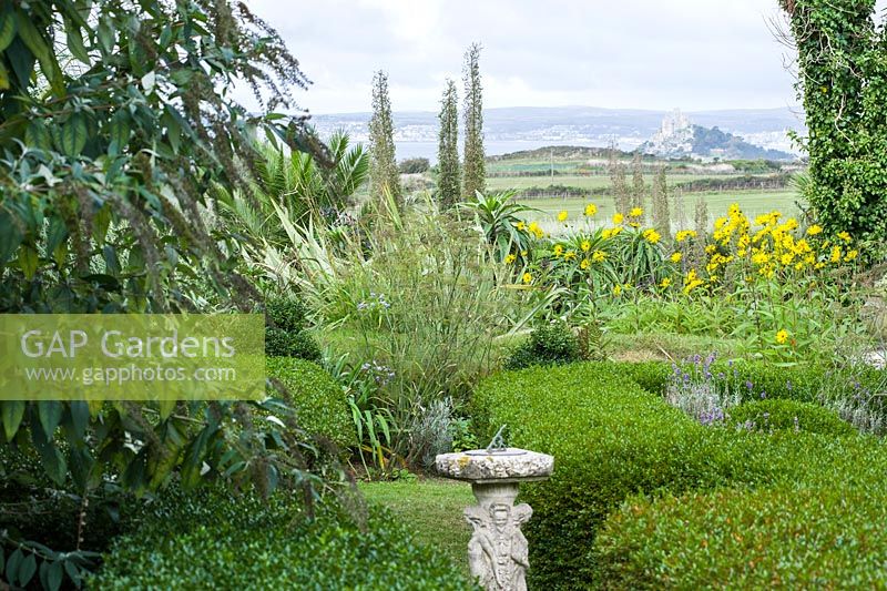 The distinctive outline of St Michael's Mount viewed from the sundial garden across clipped box hedges is framed by tall flower stems of echiums, yellow helianthus and fennel