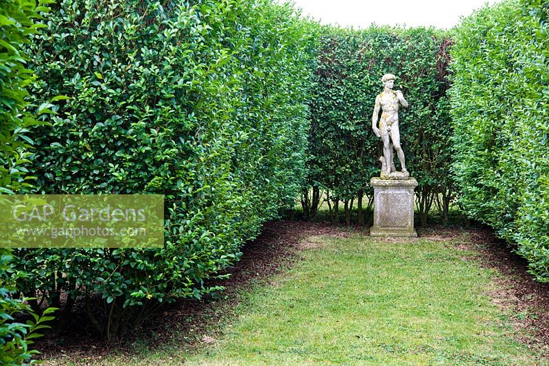 Classical statues lurk within a maze of privet hedges that create areas of calm from the prevailing winds.