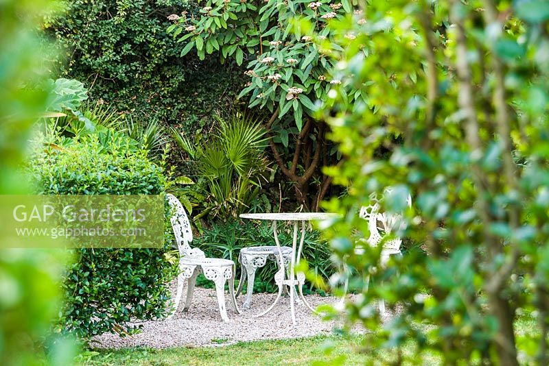 Sheltered seating area inside tall privet hedges that give protection from the prevailing winds.