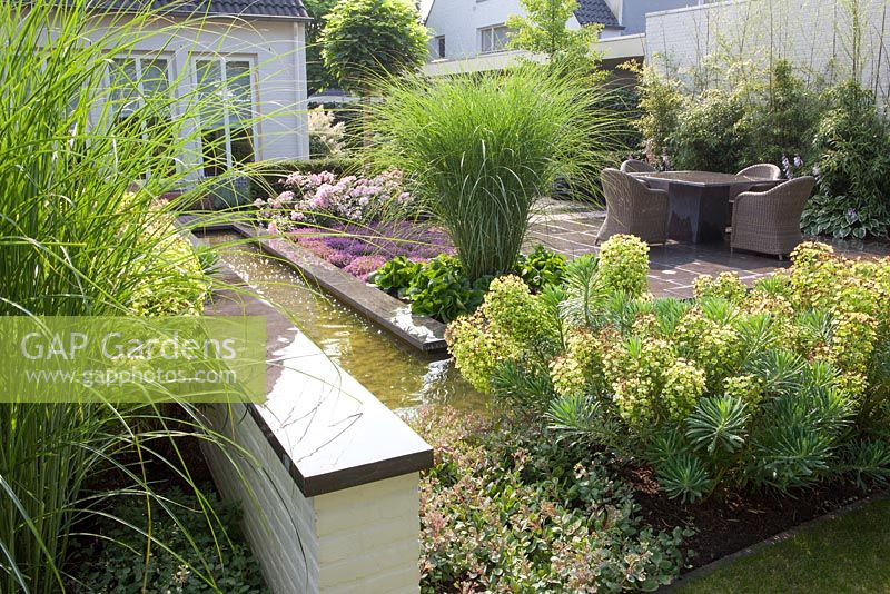 Rectangular pond and terrace. Borders with Euphorbia characias, Miscanthus sinensis and Thymus.