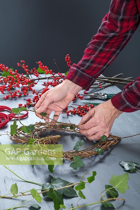 Weaving the Ivy in and out of the wreath frame - creating a berry wreath.
